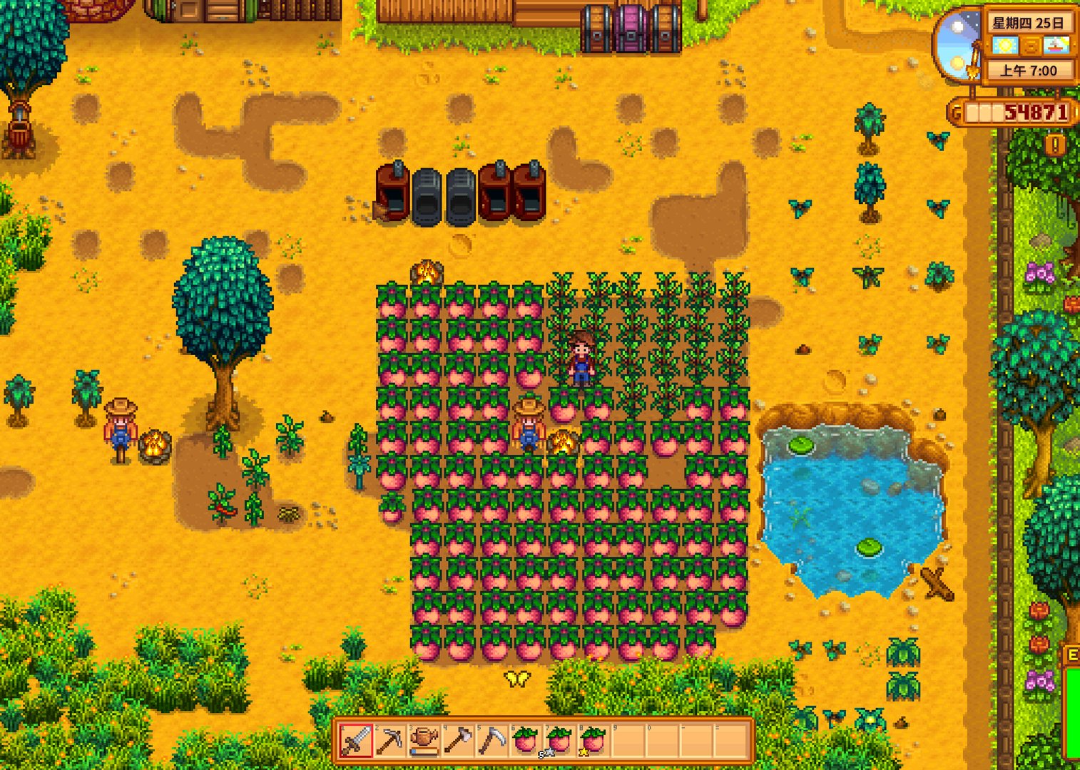 上古卷轴5：天际 截图11