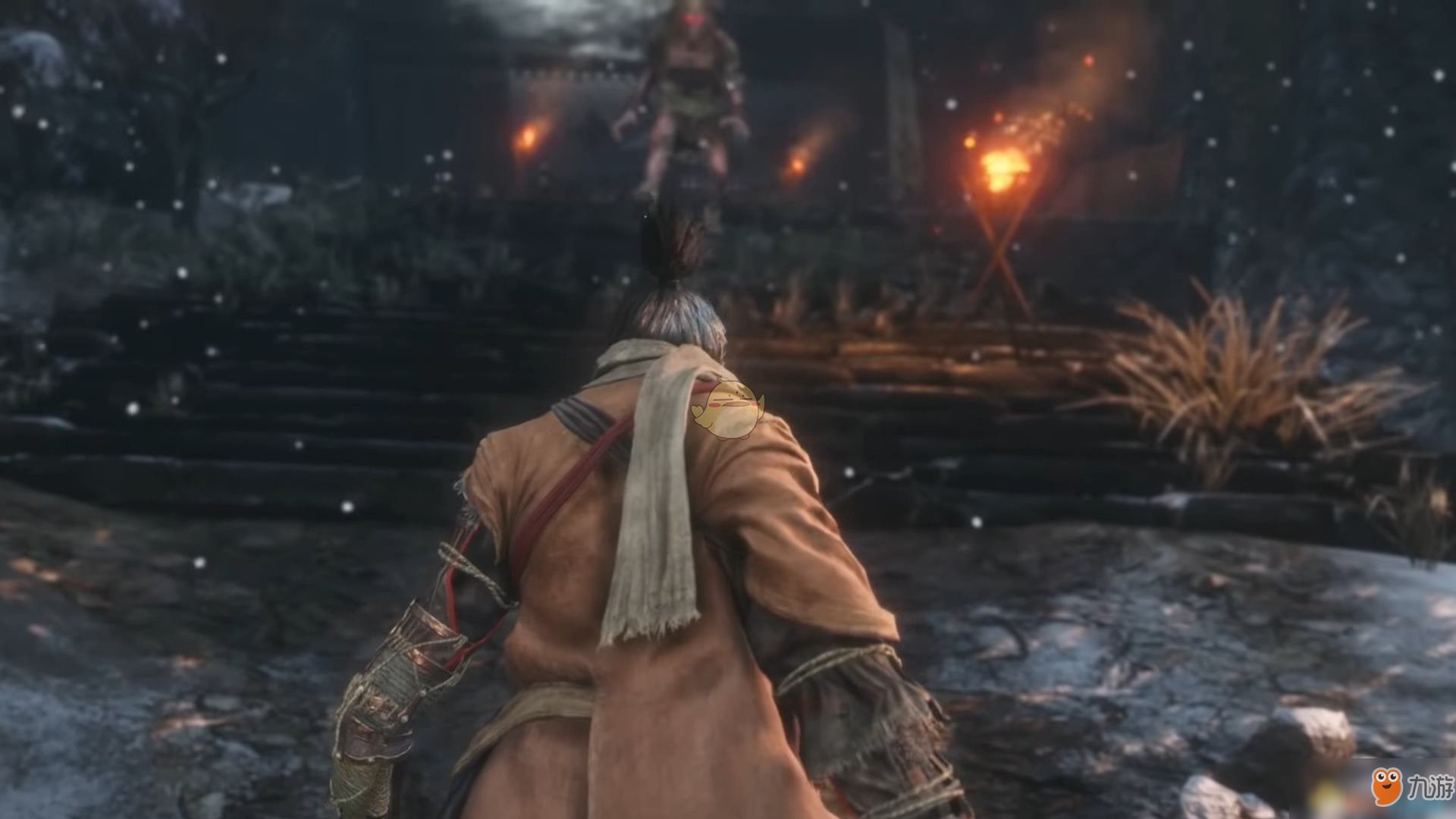 F1 2024 豪华版 截图21